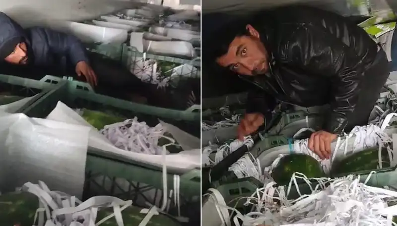 Karpuzların Arasından Çıkan Göçmenler: Sınırdaki Sıradışı Olay