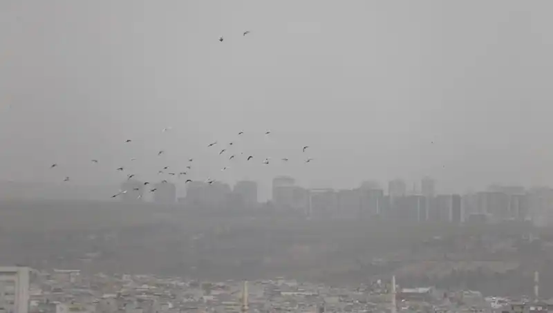 Şanlıurfa'da Toz Bulutu Etkisi: Hayatlar Olumsuz Etkilendi
