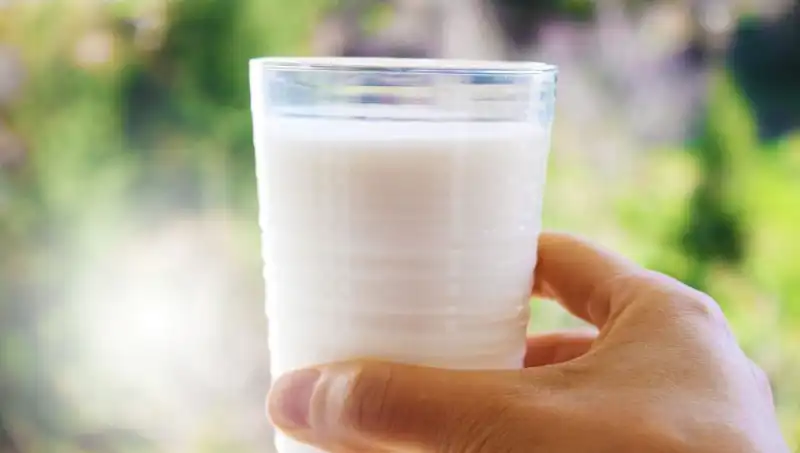 Süt Tüketimi Gerçekten Şişkinlik Yapıyor mu? Uzmanlardan Çarpıcı Açıklamalar