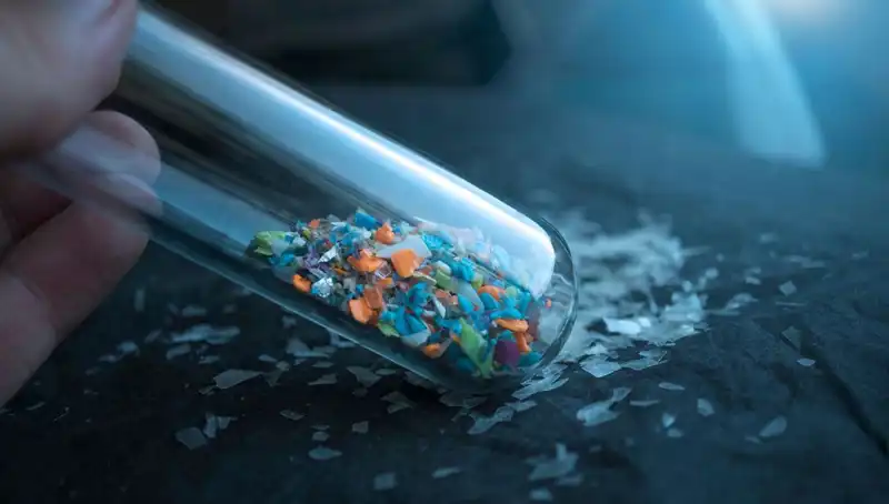 Mikroplastikler İnsan Beynine Sızdı: Sağlığımızı Tehdit Eden Boyutlar