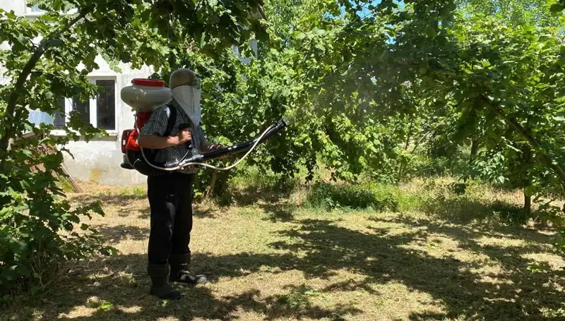 Tarımda Yeni Umut: Çiftçilerin Kükürt ve Samuray Arısıyla Mücadelesi