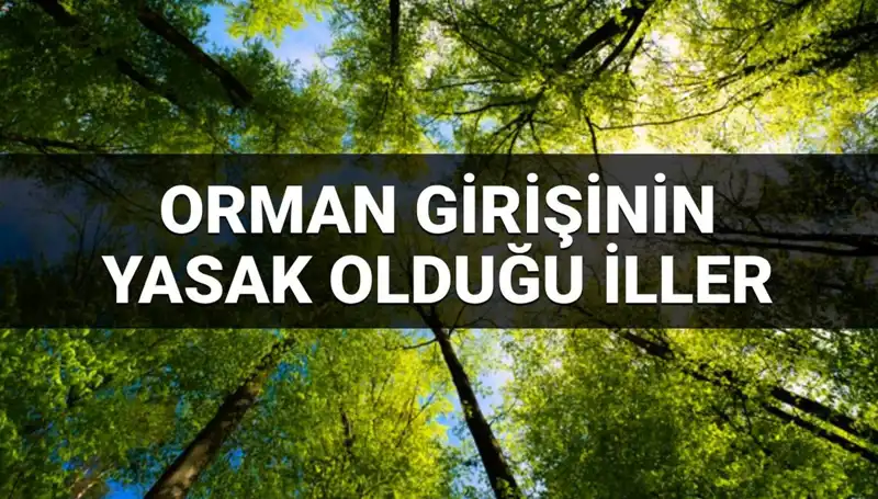 2025 Yılında Hangi İllerde Ormana Girmek Yasak?