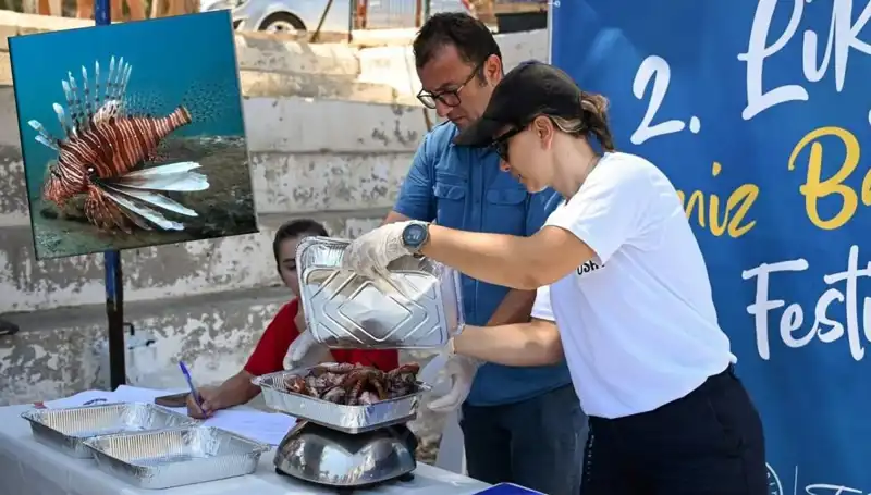 Antalya'da İstilacı Aslan Balığı Avlama Yarışmasıyla Denizler Koruma Altında
