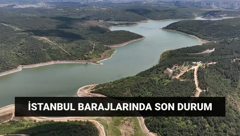 İstanbul Barajlarındaki Son Durum: Su Depolama Oranları ve Gelecek Öngörüleri