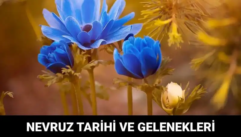 Nevruz Bayramı: Gelenekleri ve Kutlama Tarihleriyle Baharı Karşılayın