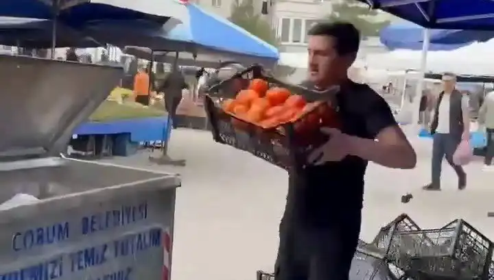 Domatesleri Çöpe Döken Pazarcı İçin Tarihi Para Cezası Kesildi