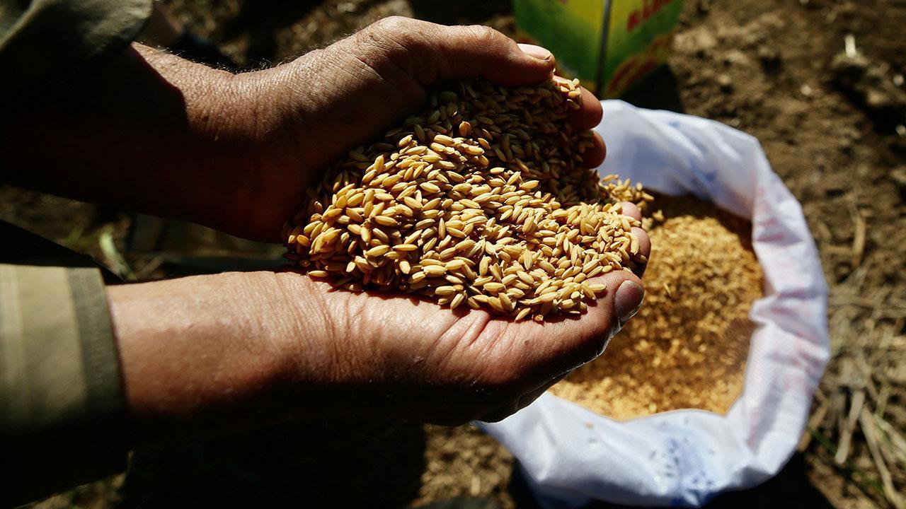 Tarım Kredi marketlerinde Ata tohumlarına yer verilecek