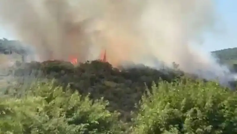 İstanbul'da Çıkan Orman Yangını, Vatandaşları Zor Durumda Bıraktı