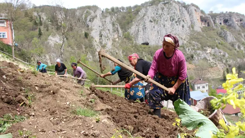 Zorlu Mesai Başladı: Sepetler ve Kazmalarla Dayanıklılığın Sınırlarını Zorluyorlar