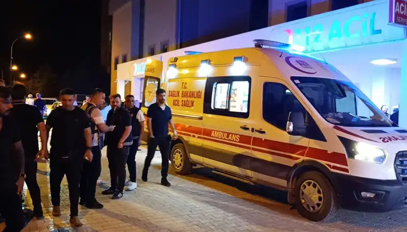 Kardeşi Araya Girmeye Çalışınca Olay Dışarı Taştı: Şok Edici Kavga
