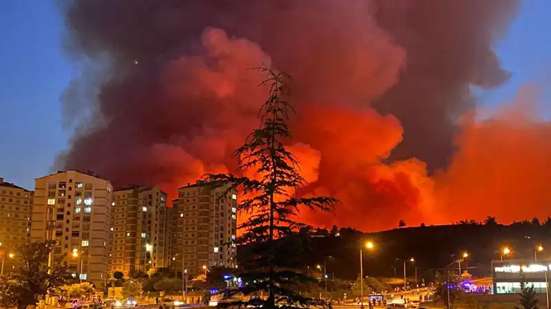 Bursa'da Yangın Felaketleri: Şehirde Korku Dolu Anlar