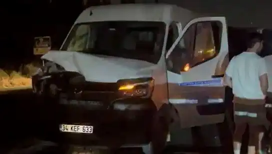 İstanbul'da Manda Kazası Sonucu Üç Kişi Yaralandı, Olayın Detayları Şok Edici