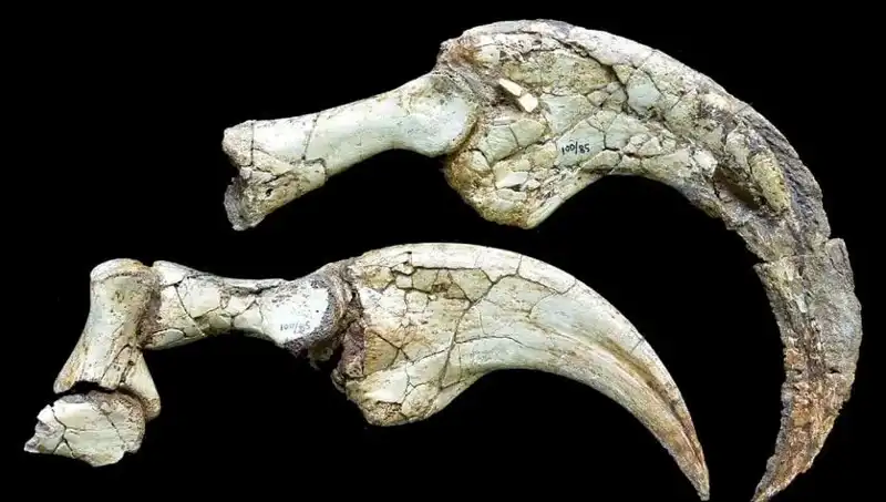Gobi Çölü'nde Şaşırtıcı Keşif: Yeni Dinozor Türü Ortaya Çıktı
