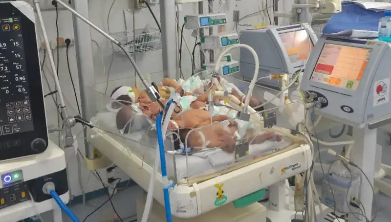 Gazzeli Doktorların Çağrısı: "Birden Fazla Bebek Aynı Kuvözde Hayatta Kalmaya Çalışıyor"