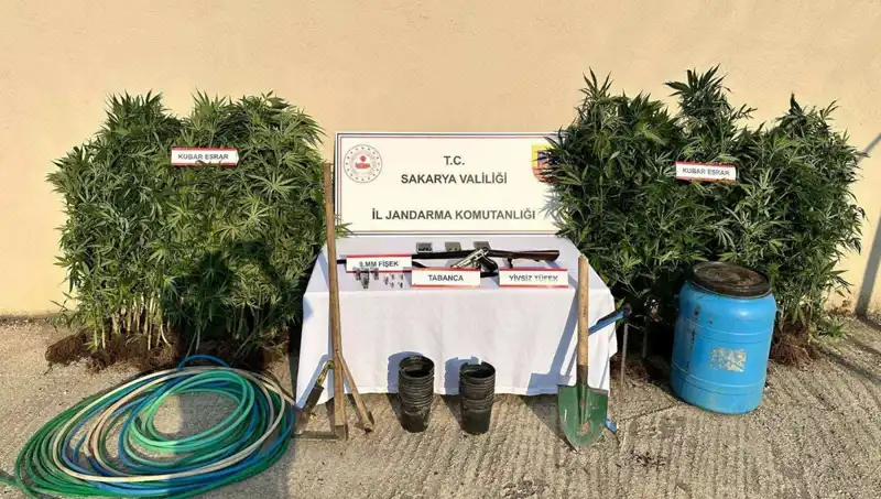 Sakarya'da Uyuşturucu Operasyonu: Eş Zamanlı Baskınlarla 1 Tutuklama Gerçekleşti